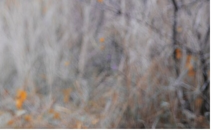 근로자휴가지원