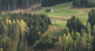 임업직불금 신청