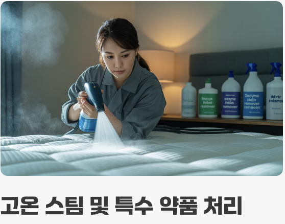 가장 강력하고 확실한 퇴치법