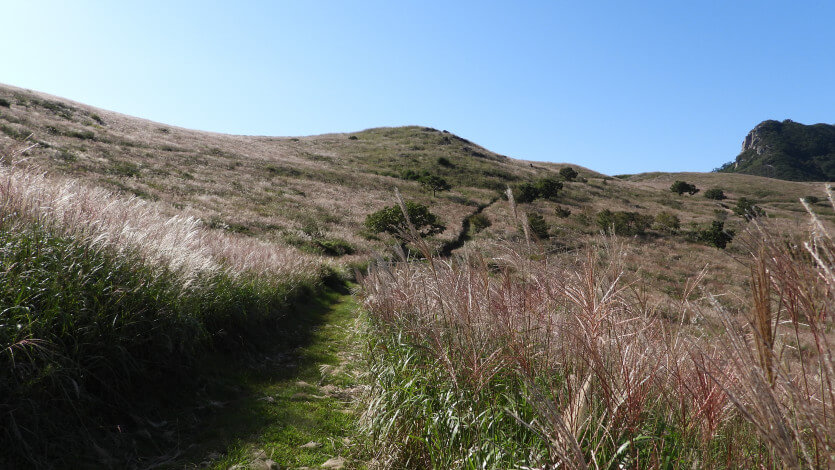 합천 황매산 사진