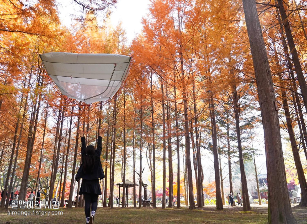 #27 엄마랑 춘천 남이섬 모녀 백패킹 _캠핑 초보자 박지 추천 - undefined - 1. 수요자(?) 분석 및 박지 선정의 EU #27 엄마랑 춘천 남이섬 모녀 백패킹 _캠핑 초보자 박지 추천 - undefined - 1. 수요자(?) 분석 및 박지 선정의 EU