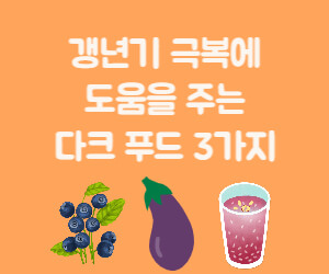 갱년기 극복에 도움을 주는 다크 푸드 3가지 블루베리, 가지, 복분자 그림