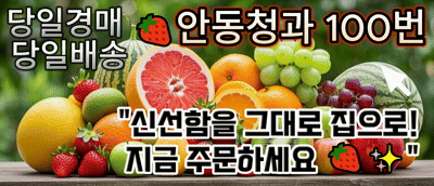 안동청과 100번