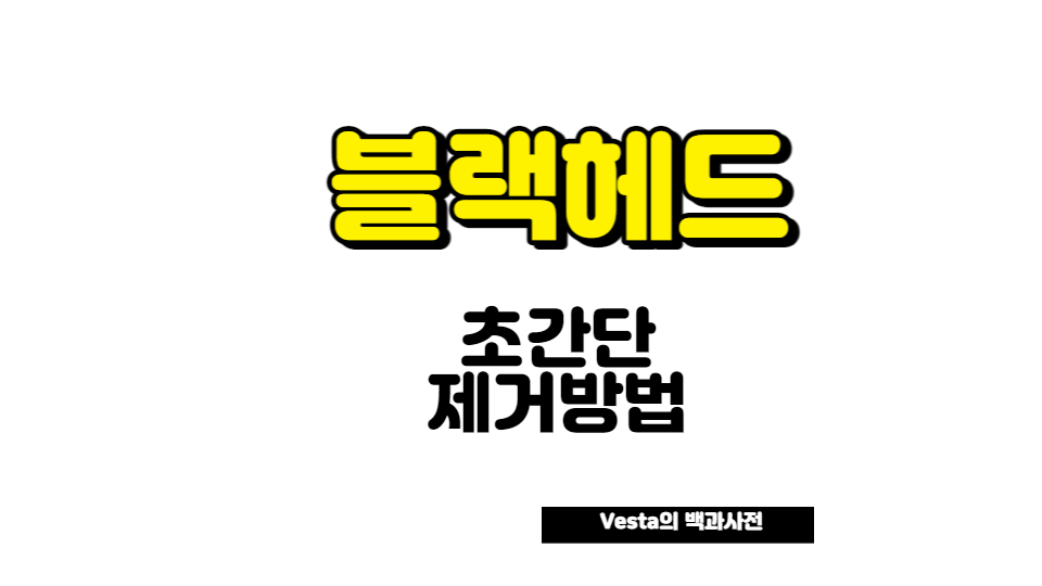 블랙헤드 제거방법 안내