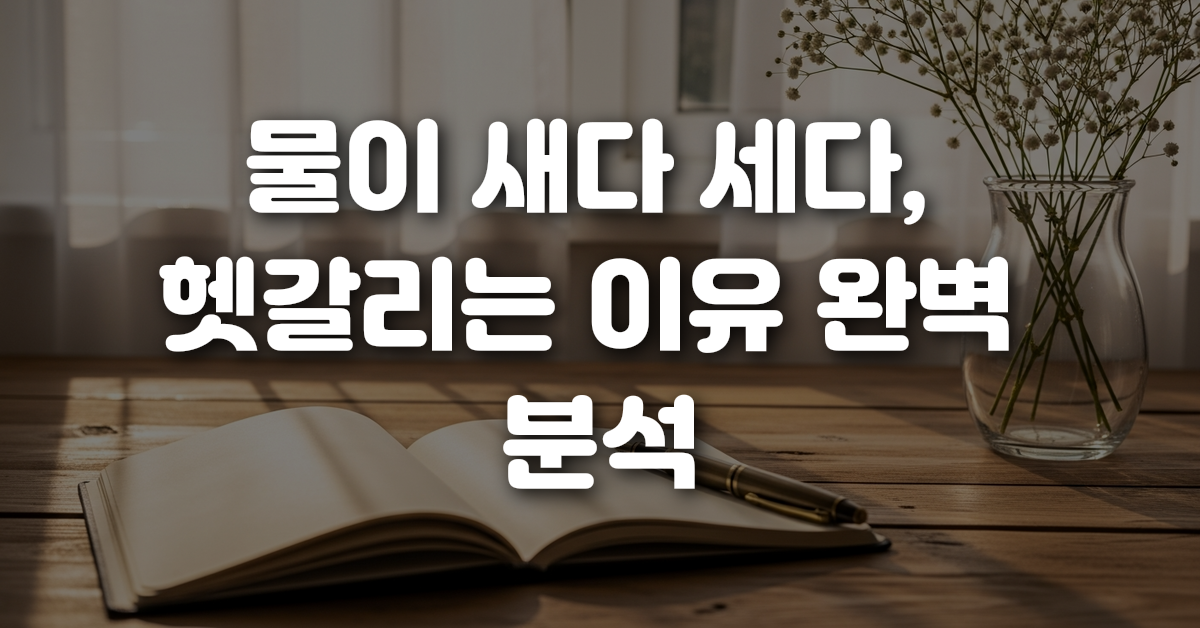 01-물이_새다_세다_헷갈리는_이유_완벽_분석