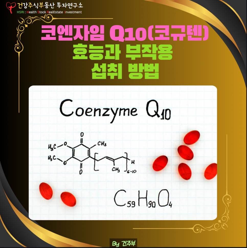 코엔자임 Q10(코큐텐) 효능과 부작용 섭취 방법
(글 그림 : 건주부, 그림 출처 : Canva)
