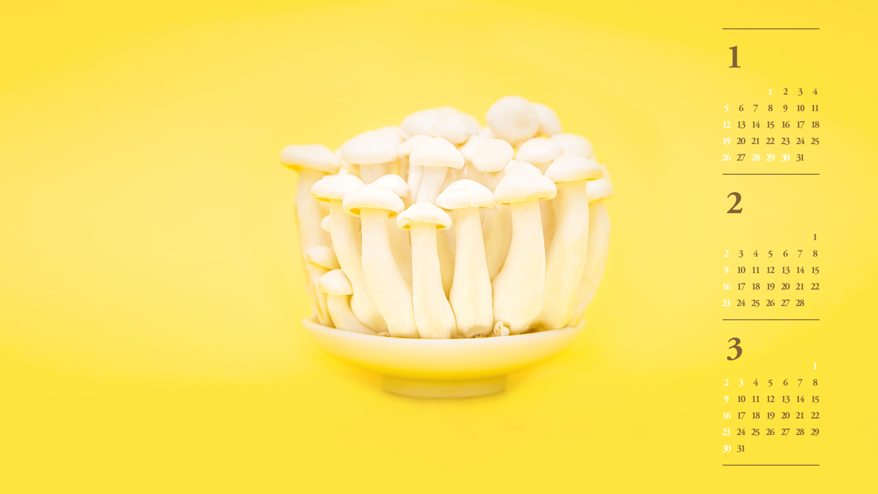 03 버섯 B - 2025년2월 노트북배경화면