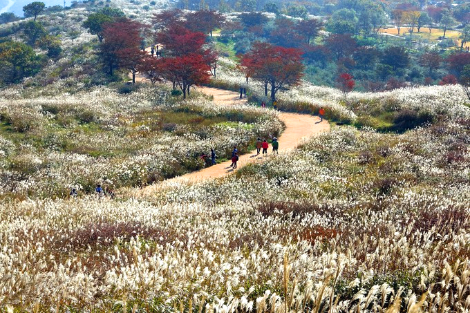 황매산