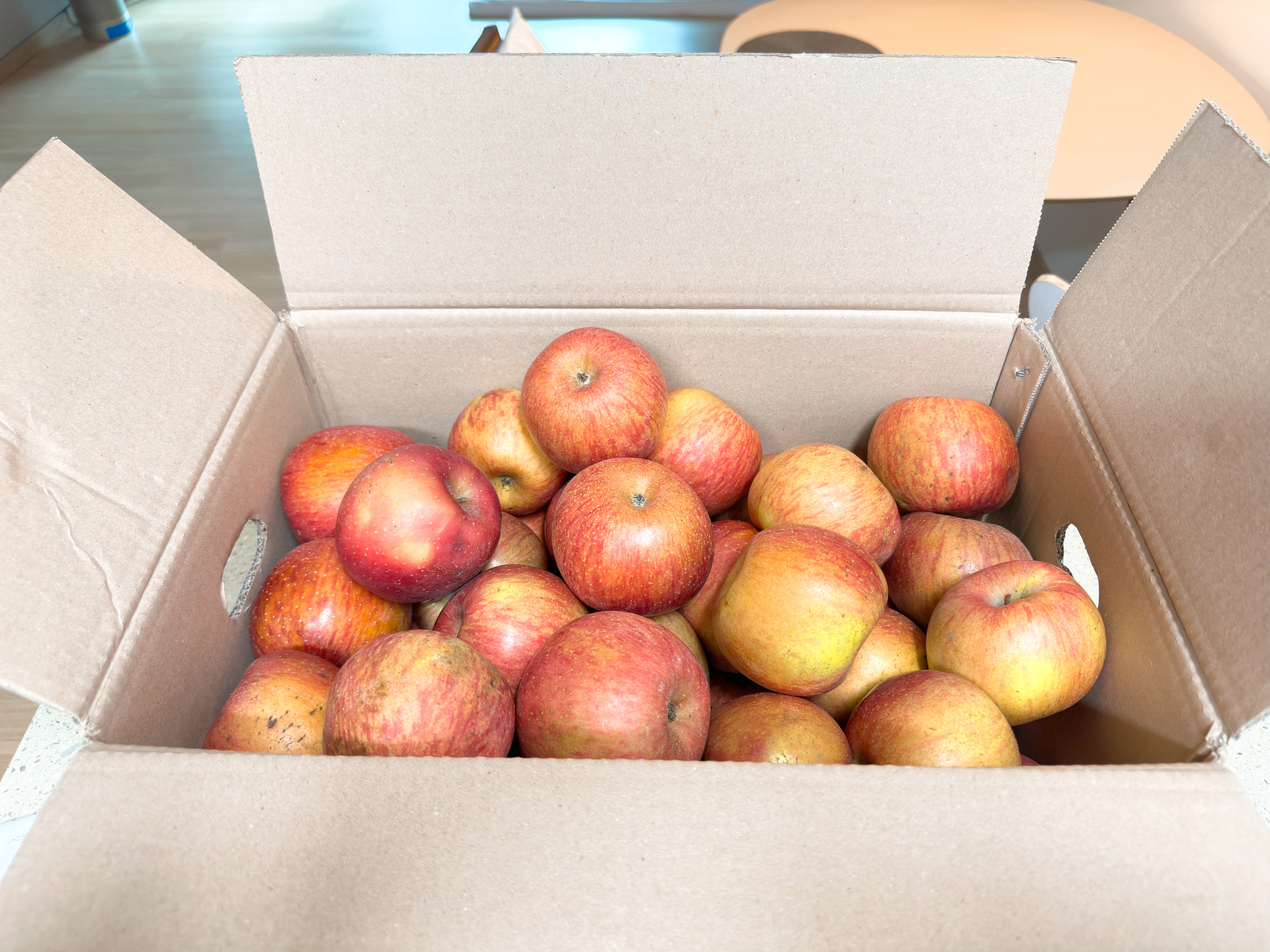 못난이 흠과 사과 10kg