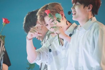 워너원 고화질 사진