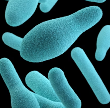 변비에 좋은 음식 해결방법 운동