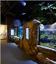 화담숲 프로그램 예약