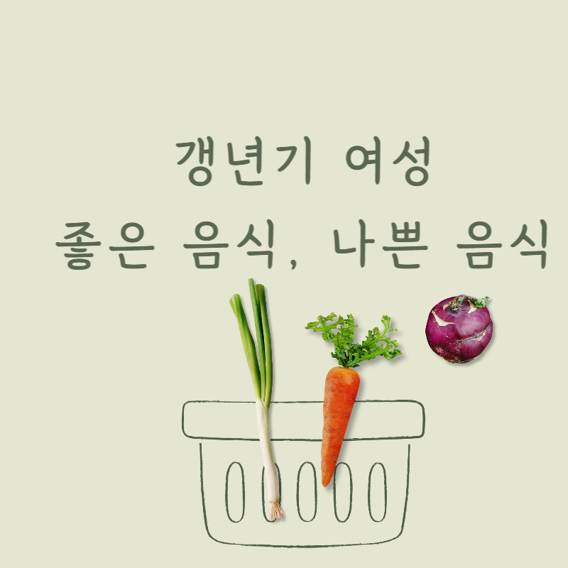 갱년기여성좋은음식