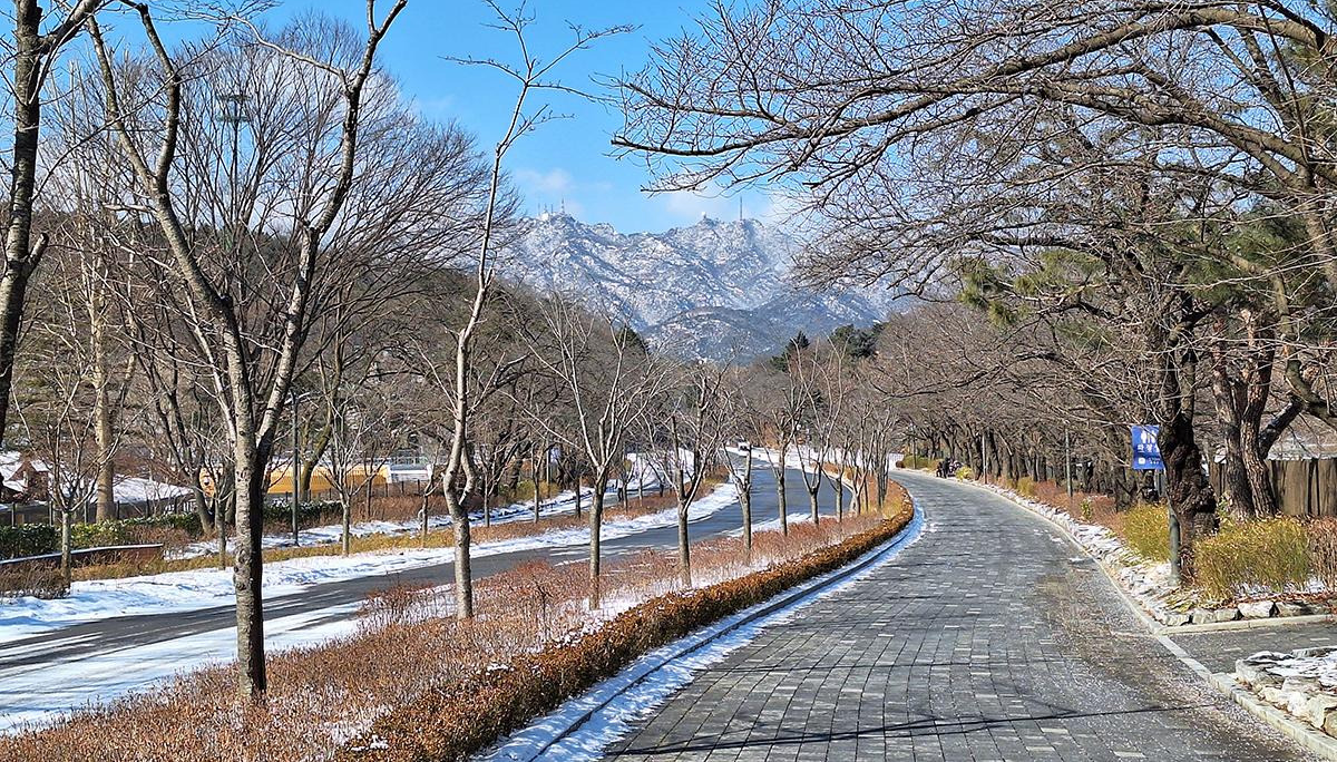과천 반려견 겨울 나들이 명소, 강아지와 함께 걷기 좋은 산책 코스