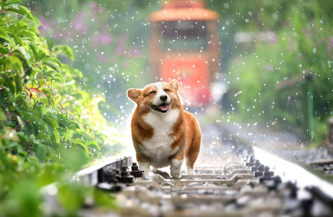 2024년 장마 예정일