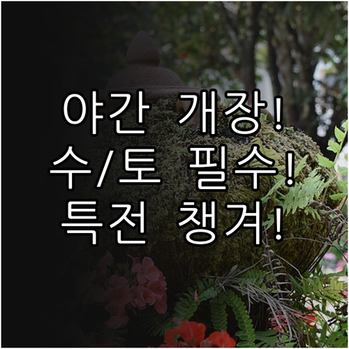 국립중앙박물관 야간 개장 수요일 토요..