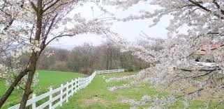 서울 근교 당일치기 커플 여행지