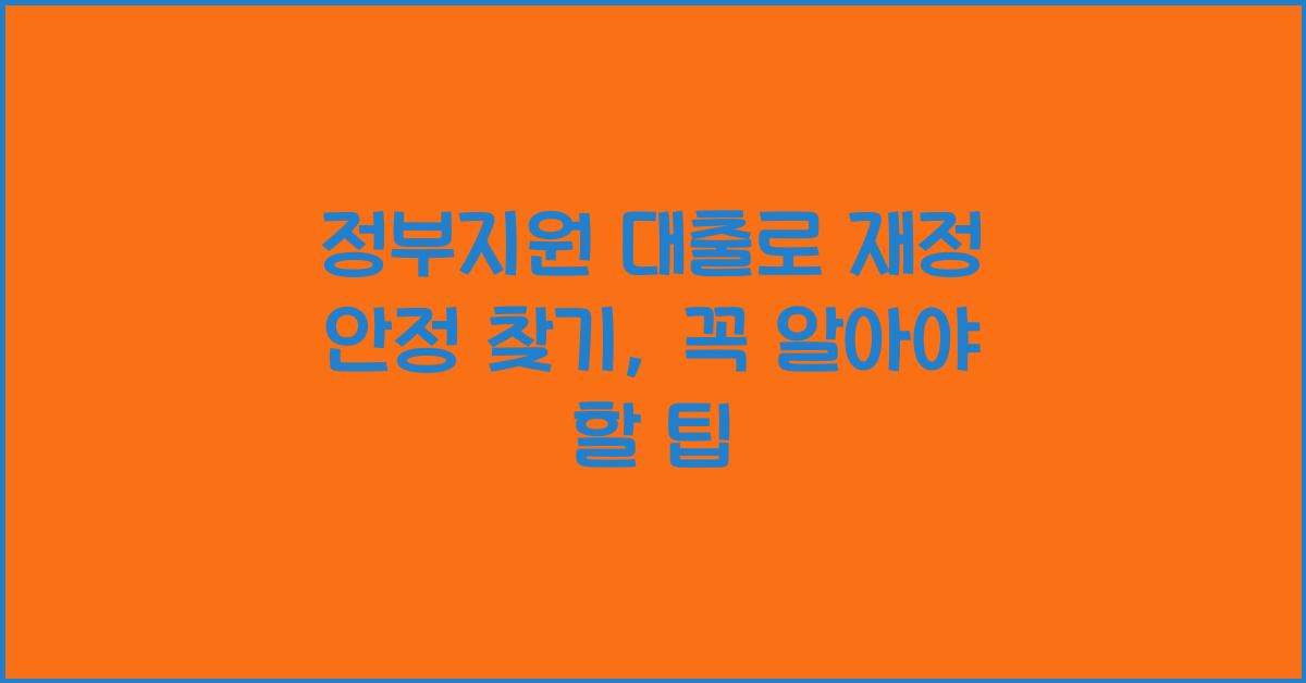 정부지원 대출