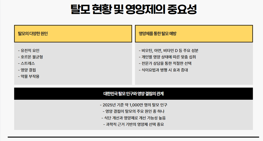 탈모 현황 및 영양제의 중요성