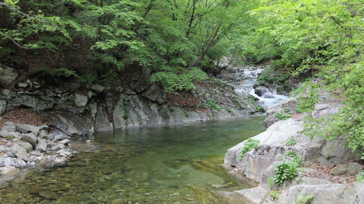 강씨봉 자연휴양림