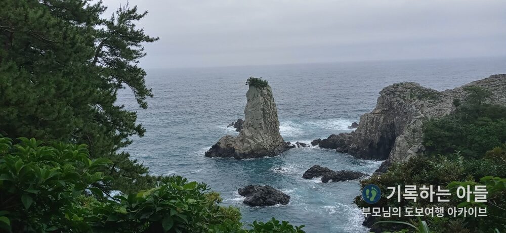 외돌개 파도