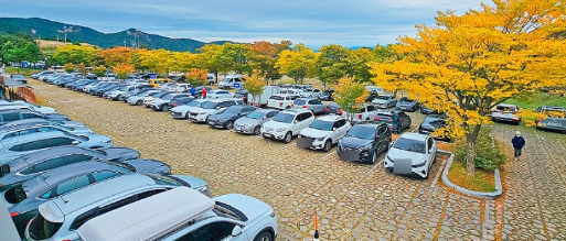 합천 황매산 철쭉제4