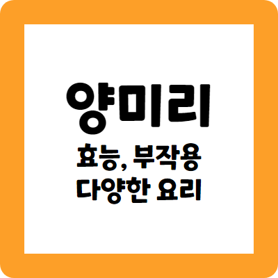 양미리의 효능과 부작용