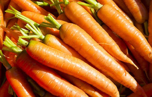 저속노화음식top5