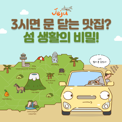 섬-생활의-비밀