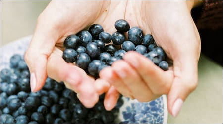 블루베리를 들고 있는 손