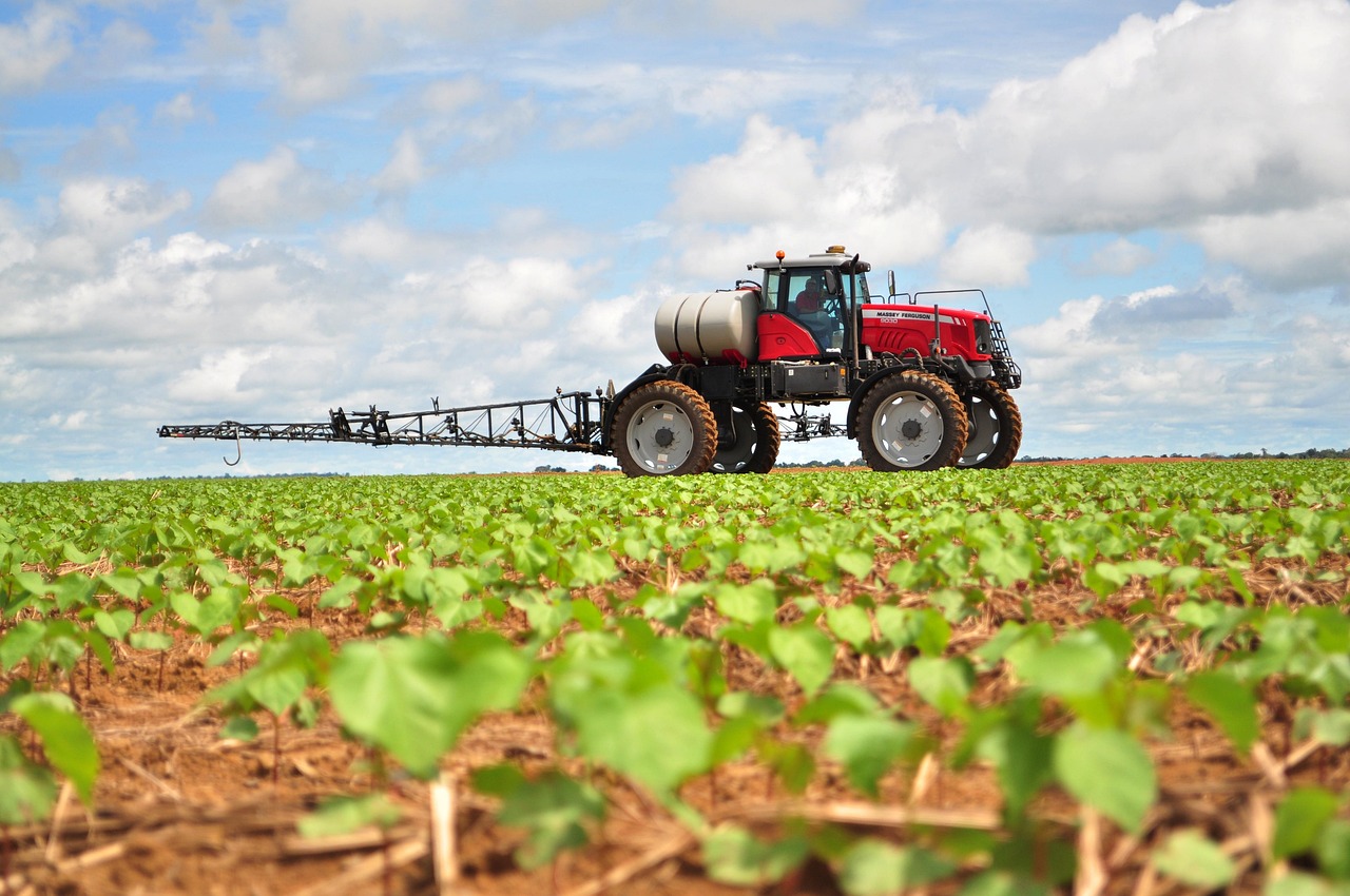 공익직불금 신청방법