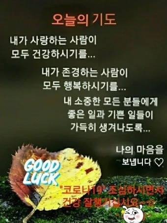 천주교 새벽을 시작하는 은총의 아침기도문 모음_25