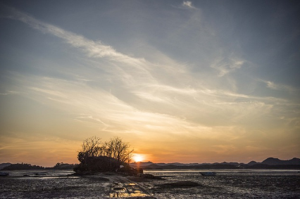 한국 무인도 여행 가이드: 한적한 자연 속 특별한 모험