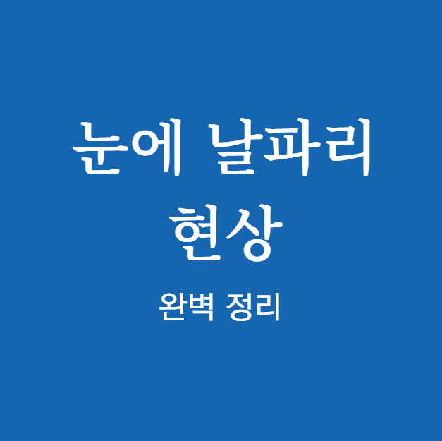 눈에 날파리 현상 원인 확인