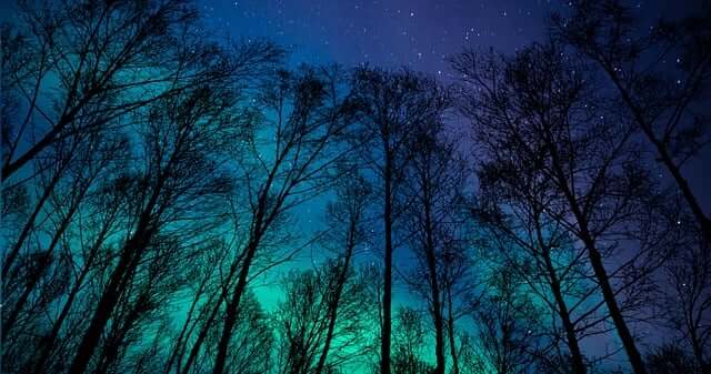 실용 기술로 일상의 질을 높인 여성 과학자 조세핀 코그런