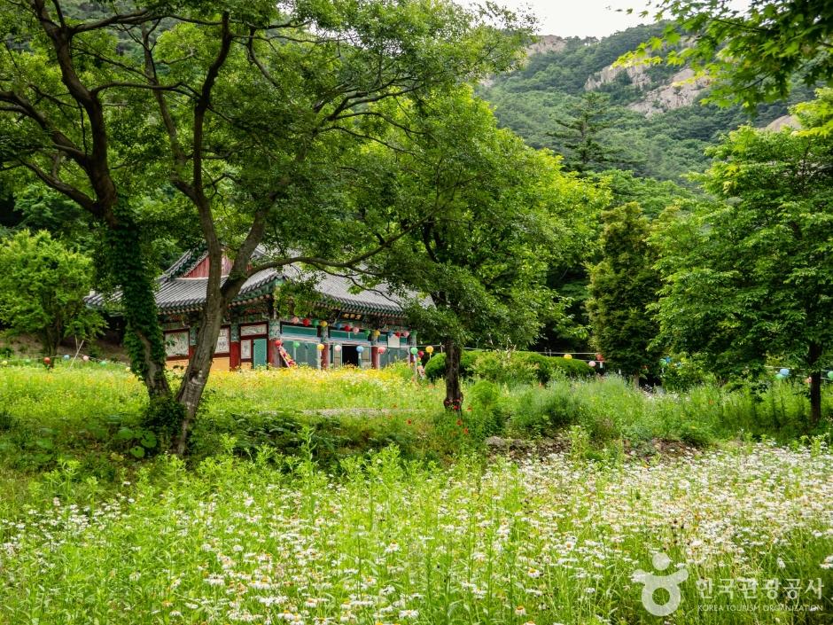 곧이어 실상사 터(전북기념물)가 나온다. 통일신라 신문왕 때 창건한 실상사는 한국전쟁 와중에 소실되기 전까지 변산반도에서 가장 큰 사찰이었다고 전한다.