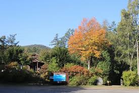 양평 가볼만한곳 베스트: 중미산자연휴양림