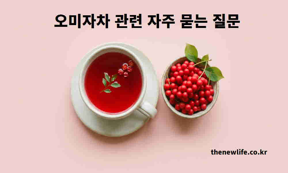 오미자차 관련 자주 묻는 질문