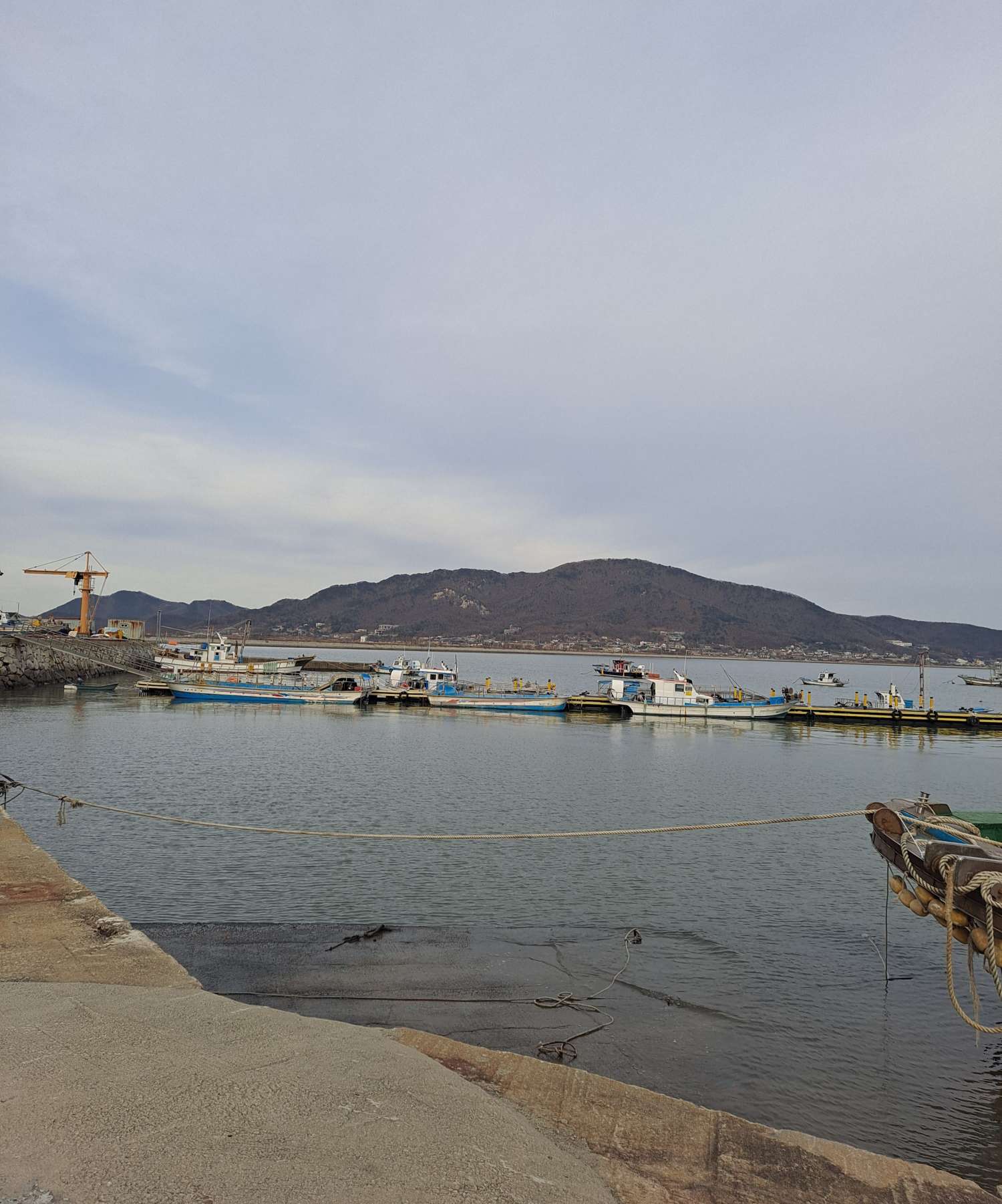 어선들은 출항준비중