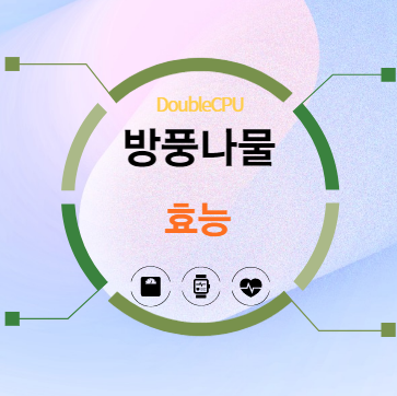 방풍나물 효능 탐구