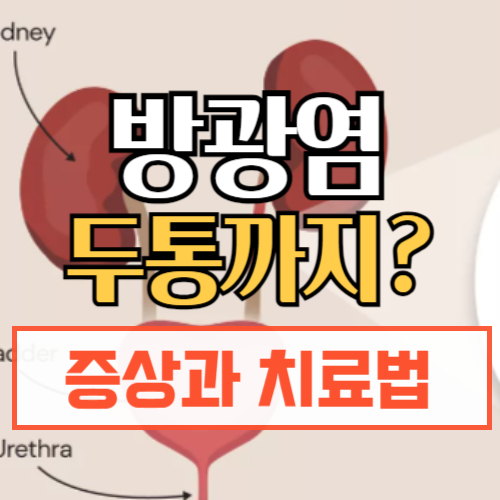 방광염 두통, 증상과 치료법