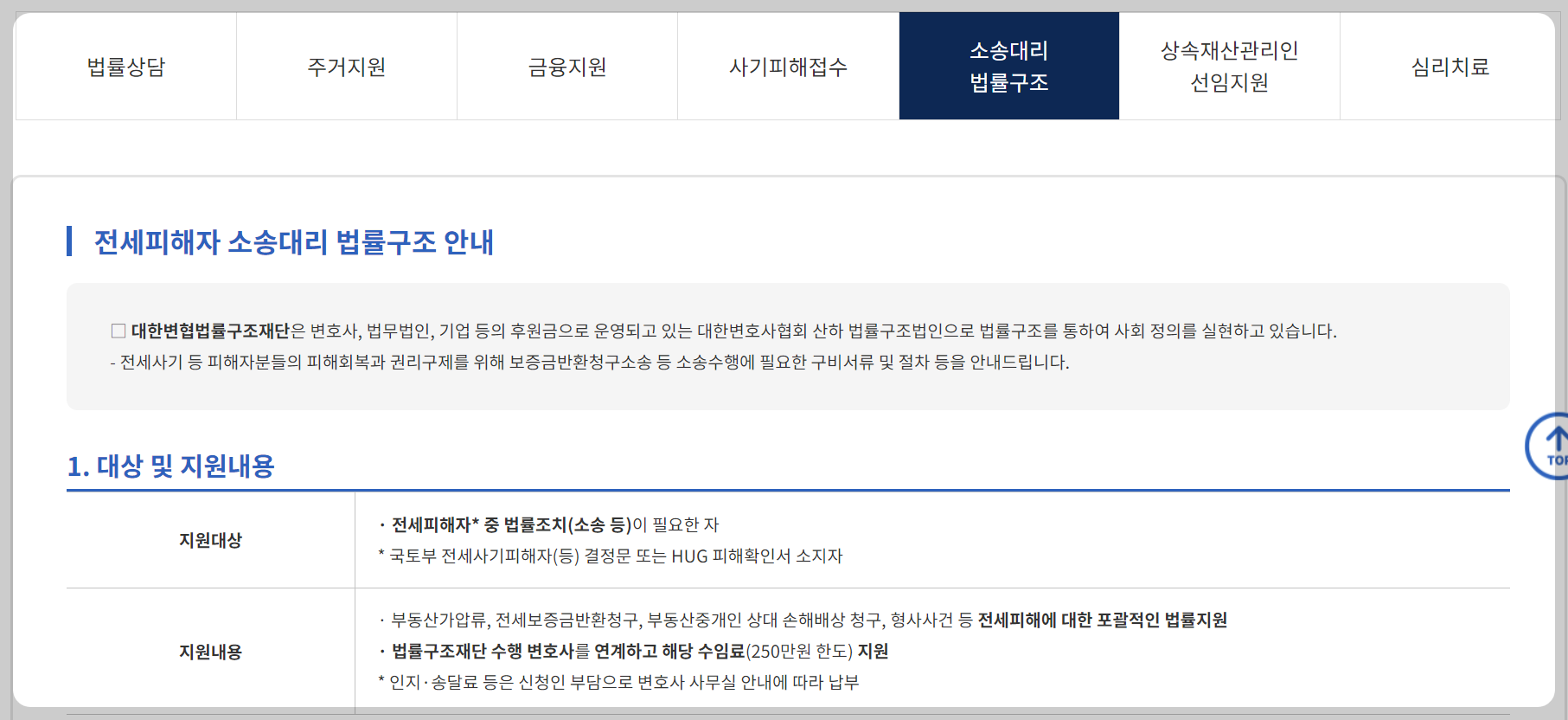 전세사기 피해자 지원