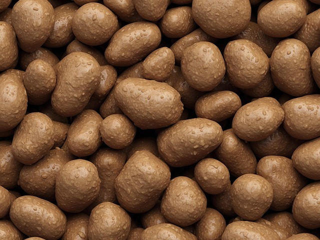 콜레스테롤 정상수치 4