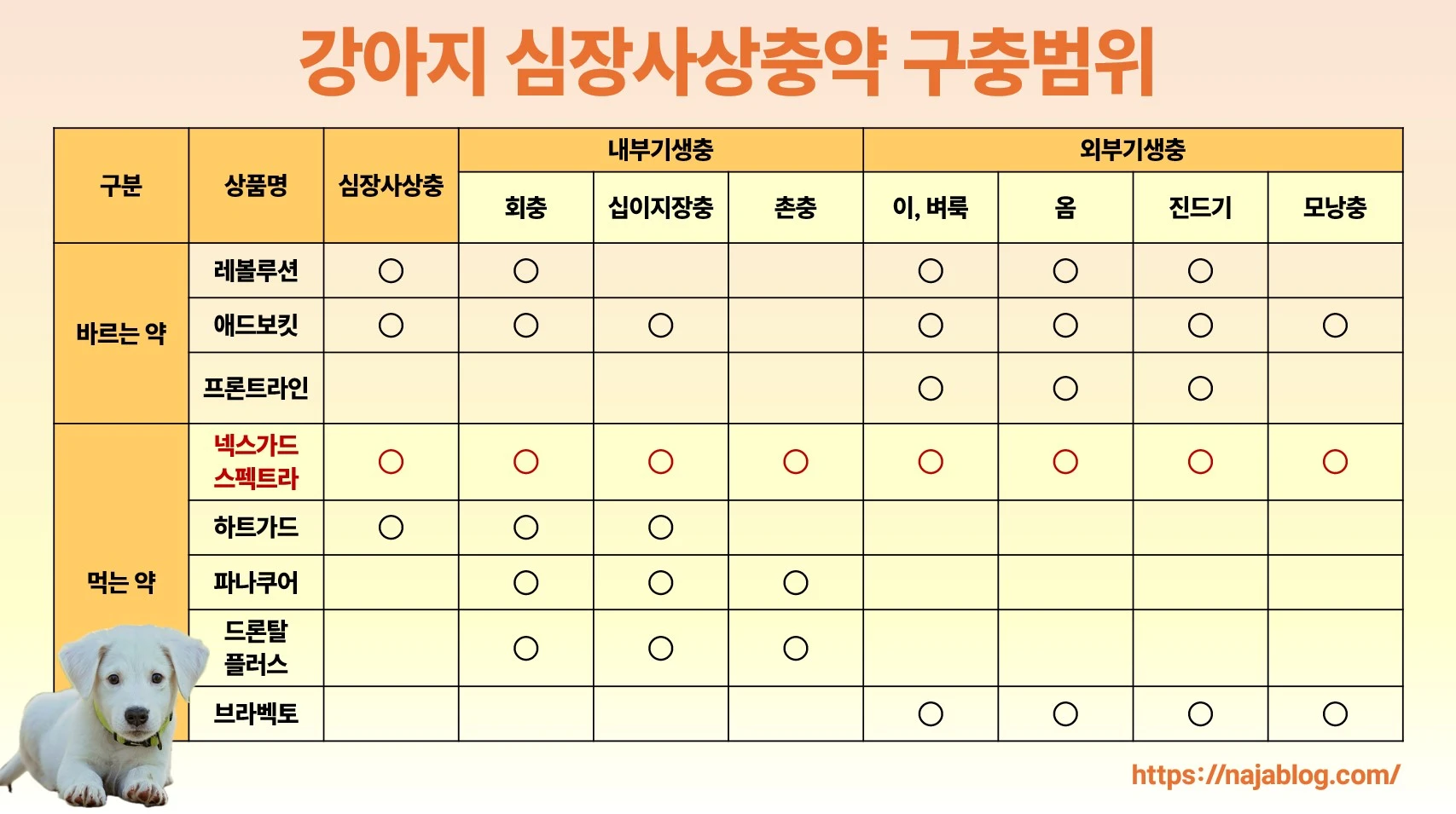 강아지-심장사상충약-구충범위