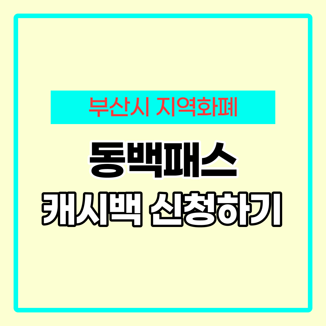 동백전 교통카드 신청