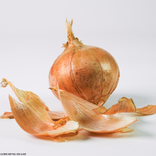 양파껍질