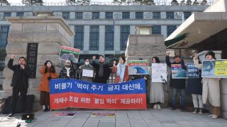 비둘기 먹이주기 금지는 동물학대