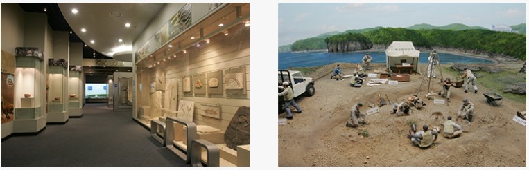 고성 공룡 박물관(11)