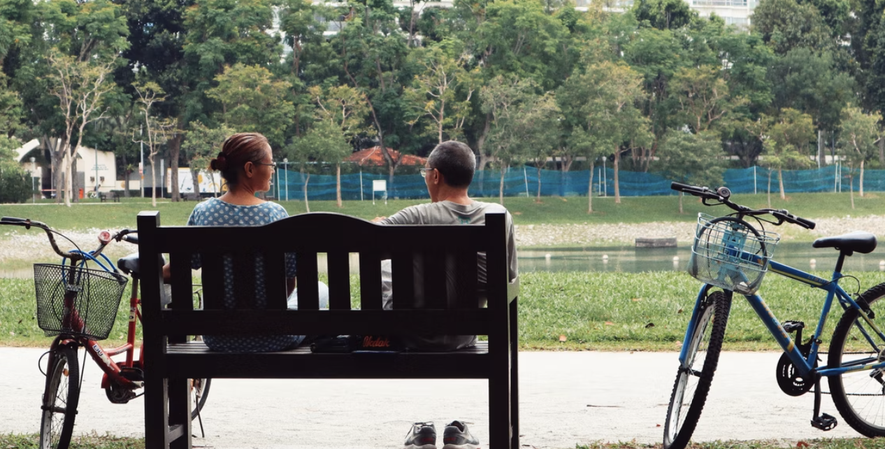 30만원-기초연금