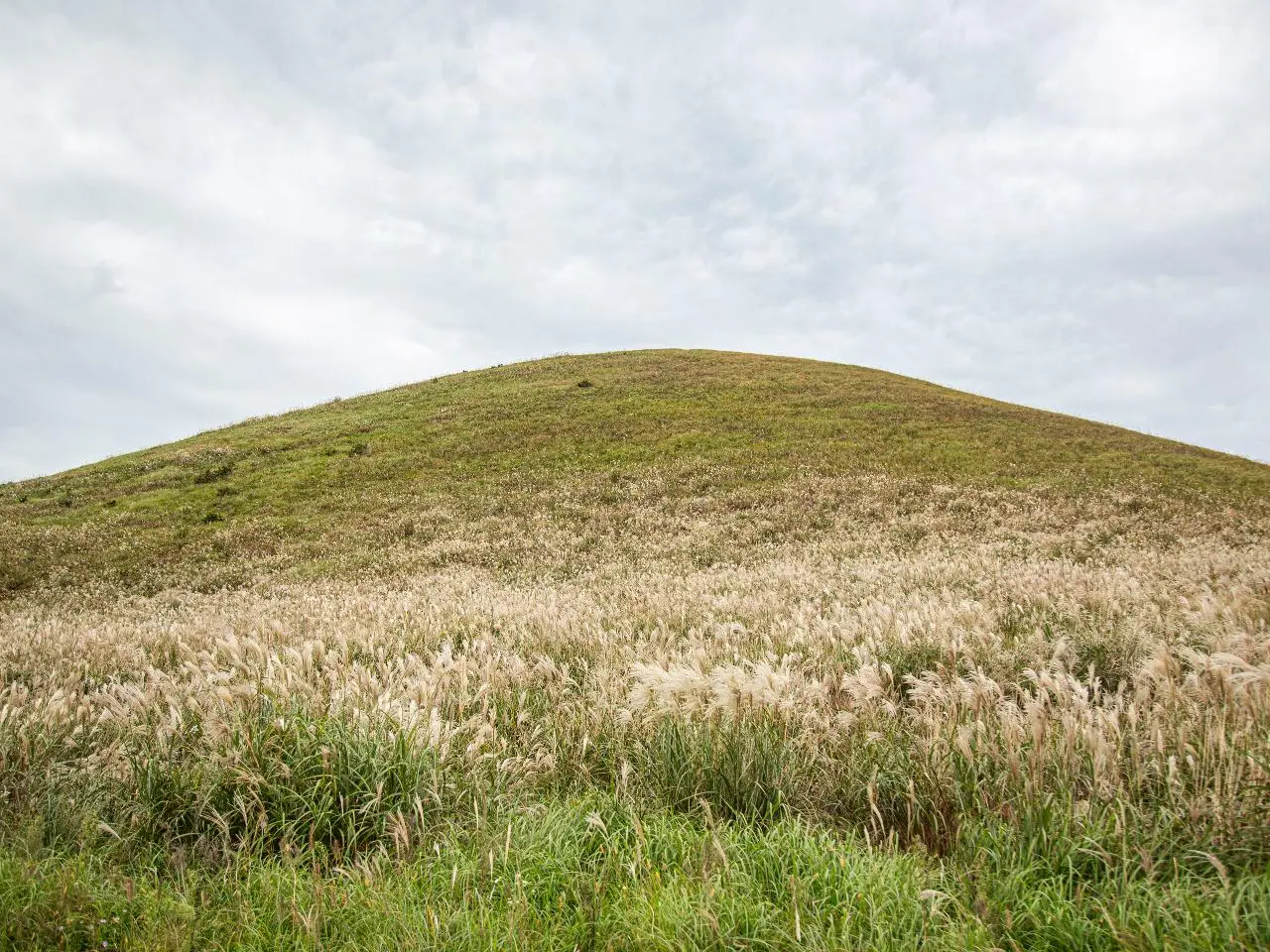 새별오름 관련 사진 (출처: 제주관광공사 홈페이지)